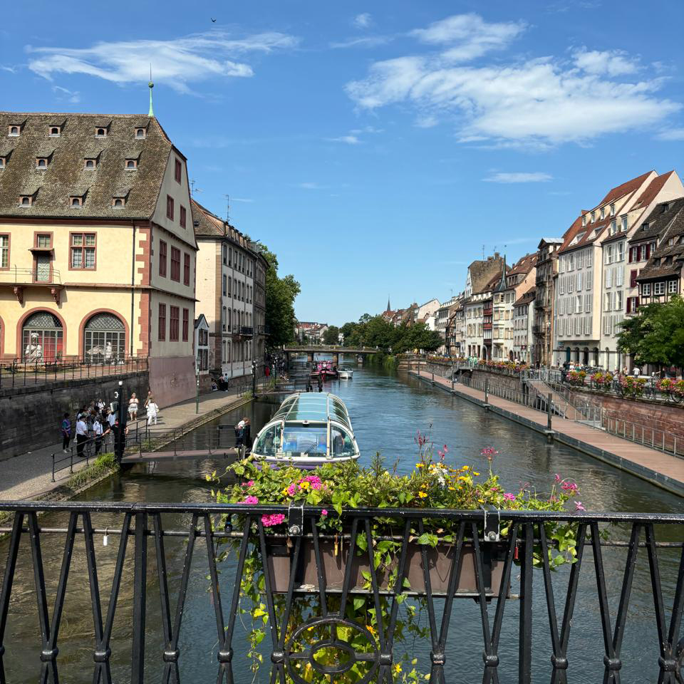 WhatsApp Image 2026-01-17 at 6.19 copy